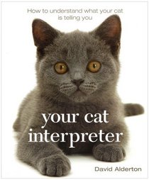 Your Cat Interpreter: How to Understand What Your Cat Is Saying to You
