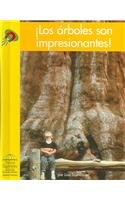 Los Arboles Son Impresionantes! (Yellow Umbrella Books (Spanish)) (Spanish Edition)