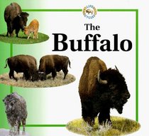 The Buffalo (Life Cycles Series)