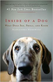 Inside of a Dog - What Dogs See, Smell, and Know