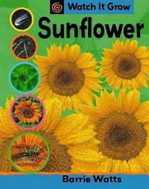 Sunflower (Watch it Grow)