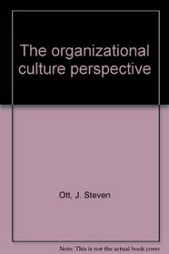 The organizational culture perspective