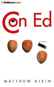 Con Ed: A Novel