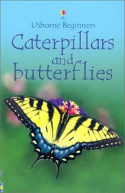 Caterpillars and Butterflies (Beginners)