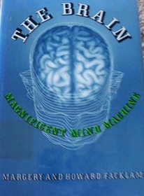 The Brain: Magnificent Mind Machine