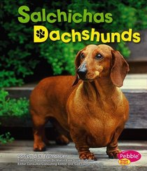 Salchichas/Dachshunds (Perritos / Dogs) (Spanish Edition)