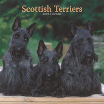 Scottish Terriers 2008 Square Wall Calendar