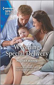 Wyoming Special Delivery (Dawson Family Ranch, Bk 2) (Harlequin Special Edition, No 2757)