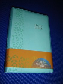 BLUE Leather Bound MODERN CHINESE - ENGLISH Bilingual Holy Bible / CNV - ESV / Cross Zipper, Golden Edges / Chinese New Version - English Standard Version / Simplified / Shen Edition