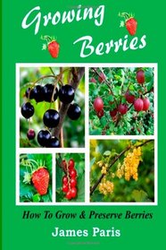 Growing Berries: How To Grow And Preserve Berries
