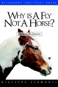 Why Is a Fly Not a Horse?