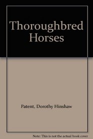 Thoroughbred Horses