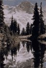 Mount Rainier (Northwest Mythic Landscape Series)