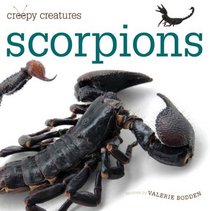 Creepy Creatures: Scorpions (Creepy Creatures (Creative Education Paperback)_)