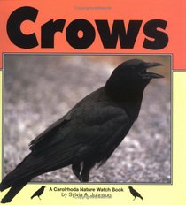 Crows (Nature Watch)