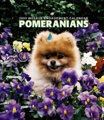 Pomeranians 2005 Weekly Engagement Calendar