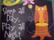 Crayola ~ Sleep All Day, Play All Night -- an Opposites Book