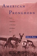 American Pronghorn : Social Adaptations and the Ghosts of Predators Past