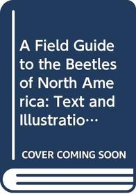 A Field Guide to the Beetles of North America: Text and Illustrations (Peterson Field Guide Series)