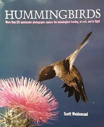 Hummingbirds