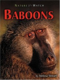 Baboons (Nature Watch)
