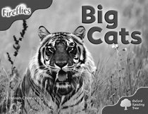 Oxford Reading Tree: Stage 4 (Pack A): More Fireflies: Big Cats