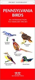 Pennsylvania Birds