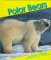 Polar Bears (Bears)