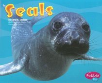 Seals (Under the Sea (Capstone Paperback))