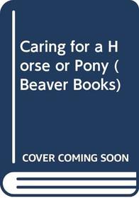 Caring for a Horse or Pony (Beaver Books)