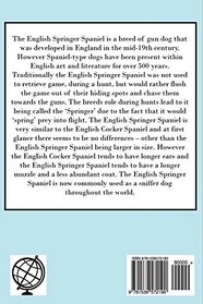 The English Springer Spaniel: A Complete and Comprehensive Owners Guide to: Buying, Owning, Health, Grooming, Training, Obedience, Understanding and ... to Caring for a Dog from a Puppy to Old Age)