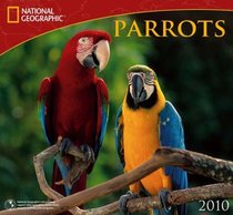 Parrots - 2010 National Geographic Wall Calendar