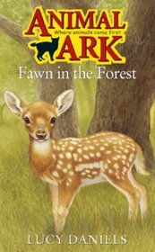 Fawn in the Forest (Animal Ark Series #21)
