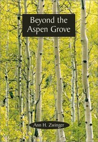 Beyond the Aspen Grove
