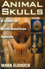 Animal Skulls: A Guide to North American Species