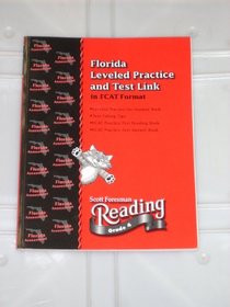 Florida Leveled Practice and Test Link in FCAT Format (Grade 4)