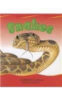 CHATTERBOX STAGE 2 SNAKES SINGLE (CHATTERBOX SERIES)