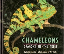 Chameleons: Dragons in the Trees
