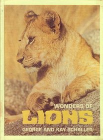 Wonders of Lions