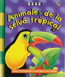 Animales De La Selva Tropical