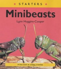 Starters: Mini Beasts