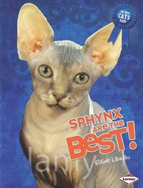 Sphynx Are the Best! (Best Cats Ever)