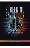 Screening Sandy Hook: Causes and Consequences