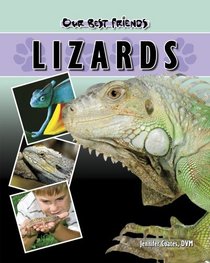 Lizards (Our Best Friends)