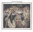 Pythons (The Snake Discovery Library)