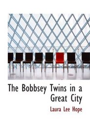 The Bobbsey Twins in a Great City