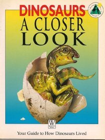 Dinosaur Dynasty: Closer Look