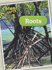 Roots (Raintree Perspectives: Plant Parts)