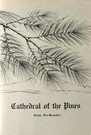 Cathedral of the Pines