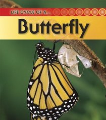 Butterfly: 2nd Edition (Life Cycle of a)